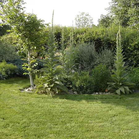 Prázdninový dům Homely In With Private Garden
